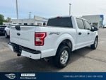 2020 F-150 Thumbnail 8