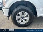 2020 F-150 Thumbnail 12