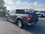 2020 F-150 Thumbnail 4