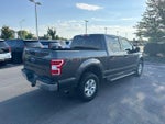 2020 F-150 Thumbnail 7