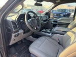 2020 F-150 Thumbnail 10