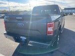 2020 F-150 Thumbnail 5