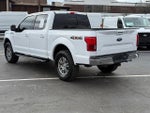 2020 F-150 Thumbnail 6