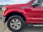 2018 F-150 Thumbnail 10
