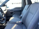 2019 F-150 Thumbnail 13