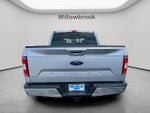 2019 F-150 Thumbnail 4