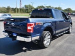 2019 F-150 Thumbnail 14