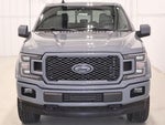 2019 F-150 Thumbnail 4