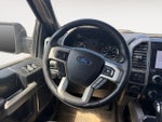 2019 F-150 Thumbnail 10