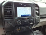 2020 F-150 Thumbnail 6