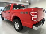 2018 F-150 Thumbnail 6