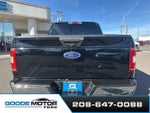 2018 F-150 Thumbnail 5