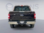 2019 F-150 Thumbnail 4