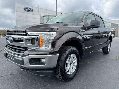 2019 Ford F-150 4X4 XL 4DR Supercrew 5.5 FT. SB