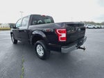 2019 F-150 Thumbnail 6
