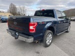 2019 F-150 Thumbnail 6
