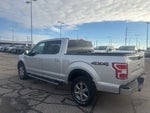 2019 F-150 Thumbnail 5