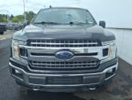 2020 F-150 Thumbnail 2