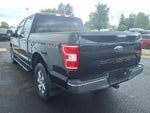 2020 F-150 Thumbnail 4