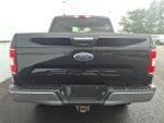 2020 F-150 Thumbnail 5