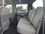 2020 F-150 Thumbnail 8
