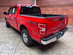 2019 F-150 Thumbnail 2