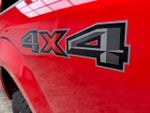 2019 F-150 Thumbnail 3