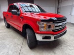 2019 F-150 Thumbnail 6