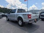 2019 F-150 Thumbnail 5