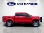 2019 F-150 Thumbnail 2