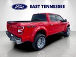 2019 F-150 Thumbnail 3