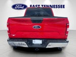 2019 F-150 Thumbnail 4
