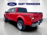 2019 F-150 Thumbnail 5