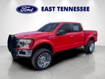 2019 F-150 Thumbnail 7