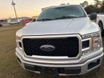 2019 F-150 Thumbnail 2