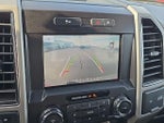 2019 F-150 Thumbnail 4