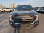 2019 F-150 Thumbnail 2