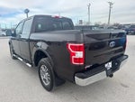 2019 F-150 Thumbnail 3
