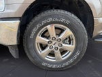 2019 F-150 Thumbnail 13