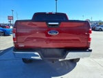 2019 F-150 Thumbnail 4