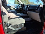 2019 F-150 Thumbnail 7