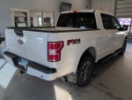 2020 F-150 Thumbnail 4