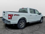 2020 F-150 Thumbnail 4