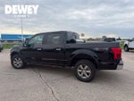 2020 F-150 Thumbnail 8