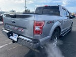 2020 F-150 Thumbnail 3