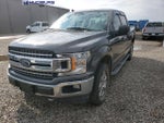 2019 F-150 Thumbnail 1