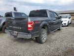 2019 F-150 Thumbnail 4
