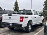 2019 F-150 Thumbnail 4