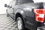 2019 F-150 Thumbnail 22