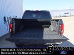 2020 F-150 Thumbnail 10
